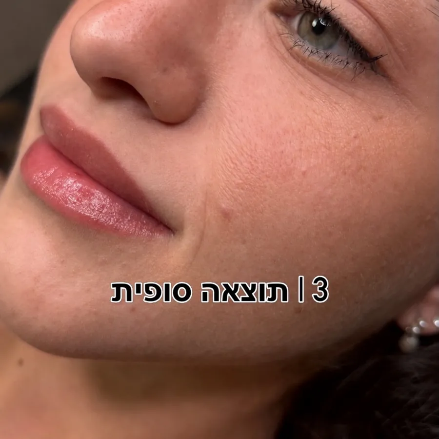 שלב 3: התוצאה הסופית